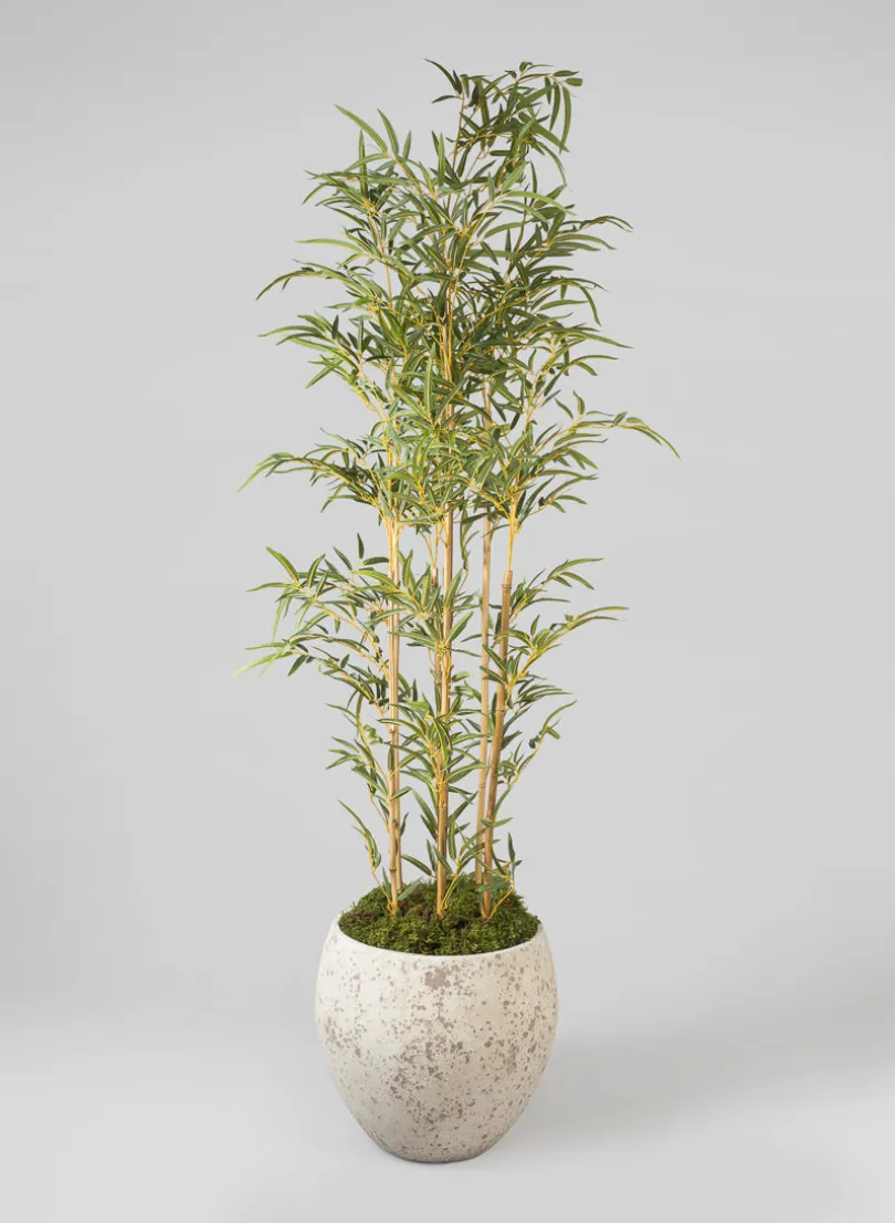 Safi Fiber Cement Egg Planters