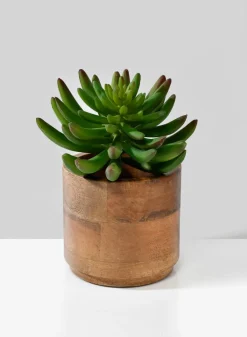 Salma Wood Cachepot