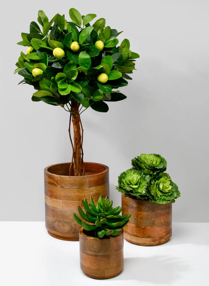 Salma Wood Cachepot