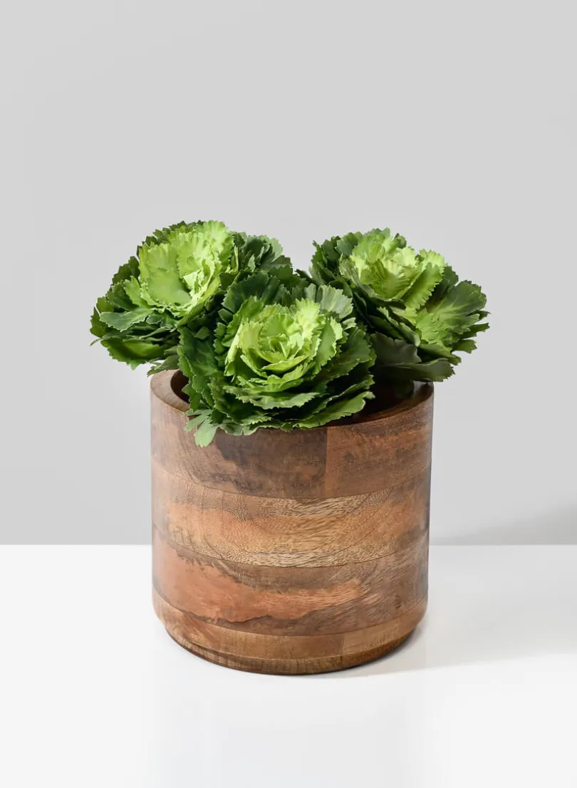 Salma Wood Cachepot