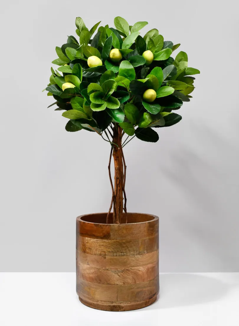 Salma Wood Cachepot