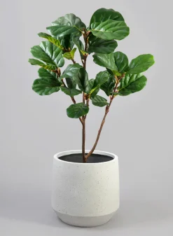 Santa Fe Sand Rock Antique White Planter
