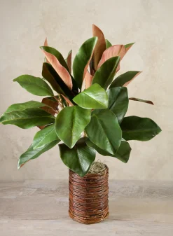 Sekong Basket Vase