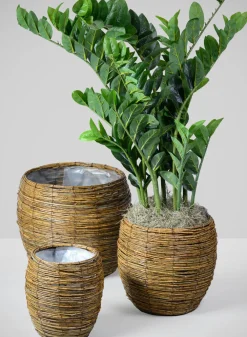 Sekong Cachepot