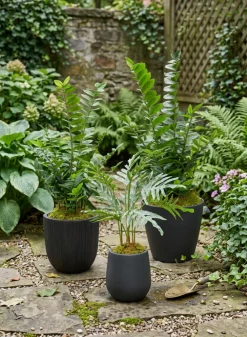 Sierra Aged Black Real Look PVC Planter