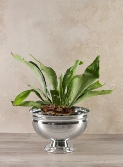 Silver Pedestal Brass Bowls