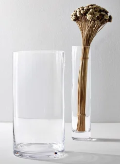 Simple Clear Glass Vases