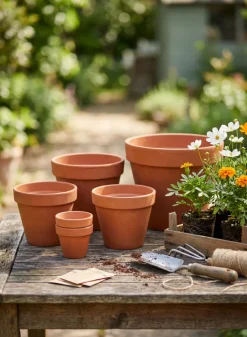 Standard Clay Pots