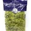 Super Moss Chartreuse Reindeer Moss