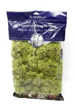 Super Moss Chartreuse Reindeer Moss