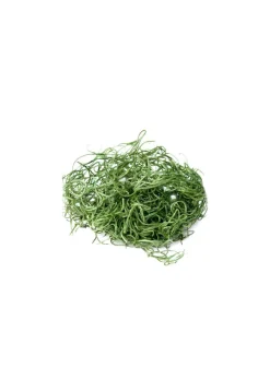 Super Moss Grass Green Preserved Spanish Moss
