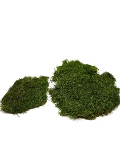 Super Moss Preserved Sheet Moss