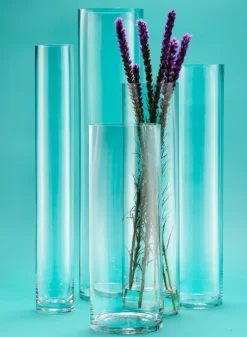 23½ Tall Glass Cylinder