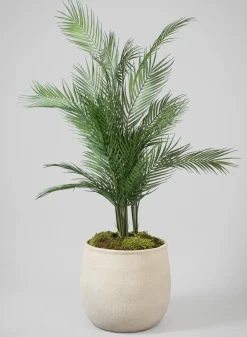 Tangier Fiber Cement Planter