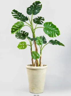 Tunisian Handmade Askos Cone Pot