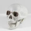 Uncle Alfred's Skull