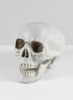 Uncle Alfred's Skull