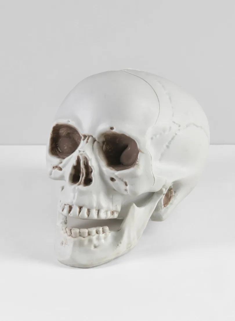 Uncle Alfred's Skull
