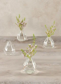 Veroce Pear Glass Vase, Set of 4