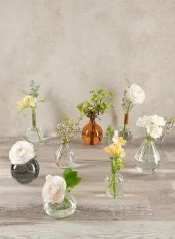 Veroce Pear Glass Vase, Set of 4