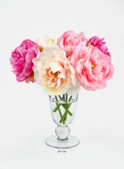 Vienna Clear Glass Urns
