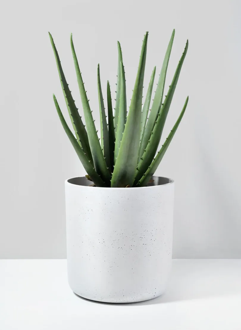 White Cycl Sandstone Pots