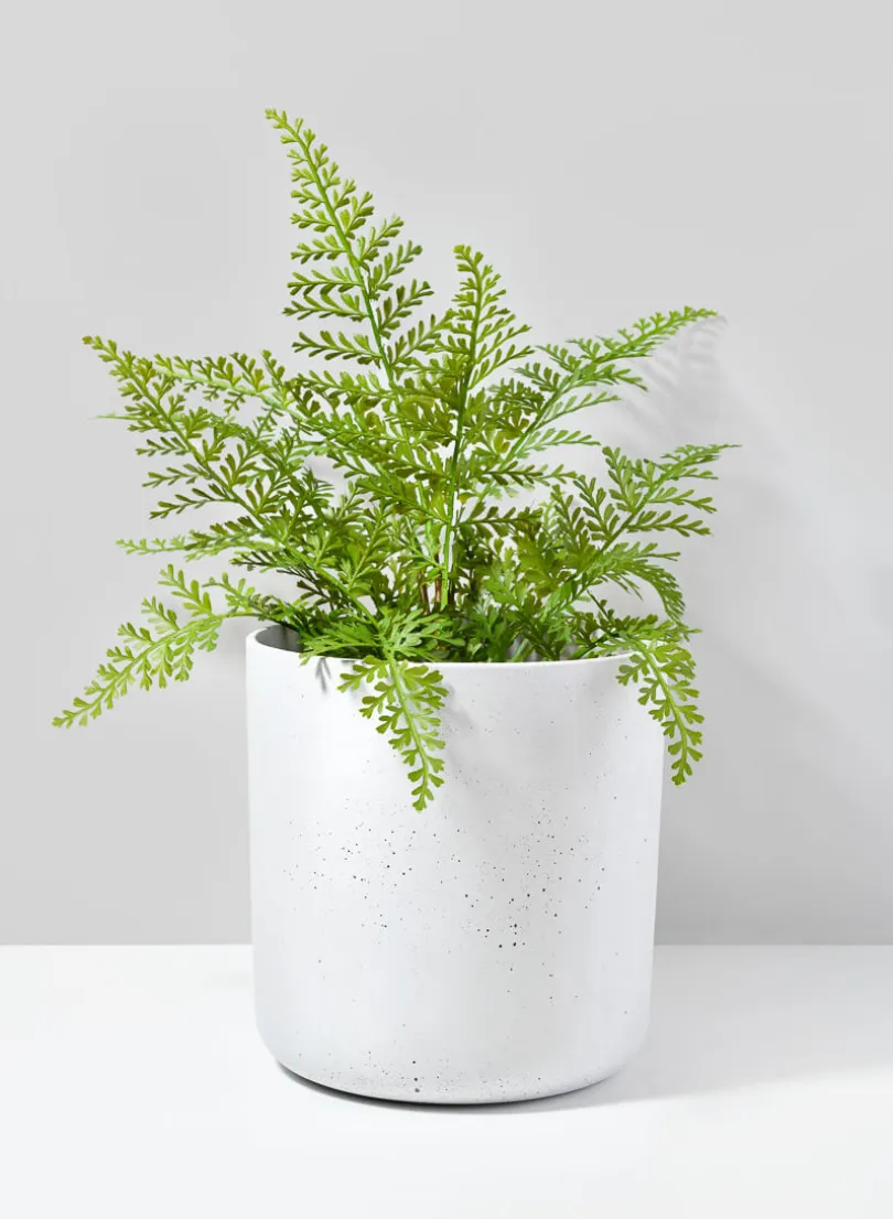White Cycl Sandstone Pots