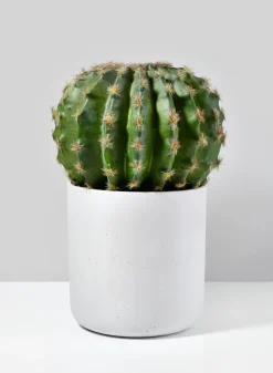 White Cycl Sandstone Pots