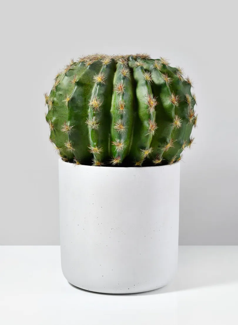 White Cycl Sandstone Pots