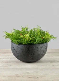 Yerevan Black Cement Stone Bowl Ceramic Planter