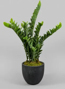 Yerevan Black Cement Stone Egg Pot