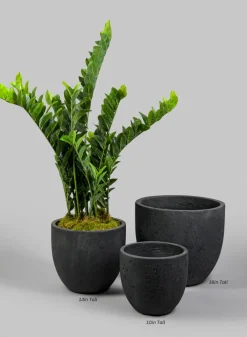 Yerevan Black Cement Stone Egg Pot