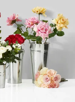 Zinc French Vases With Square Handles